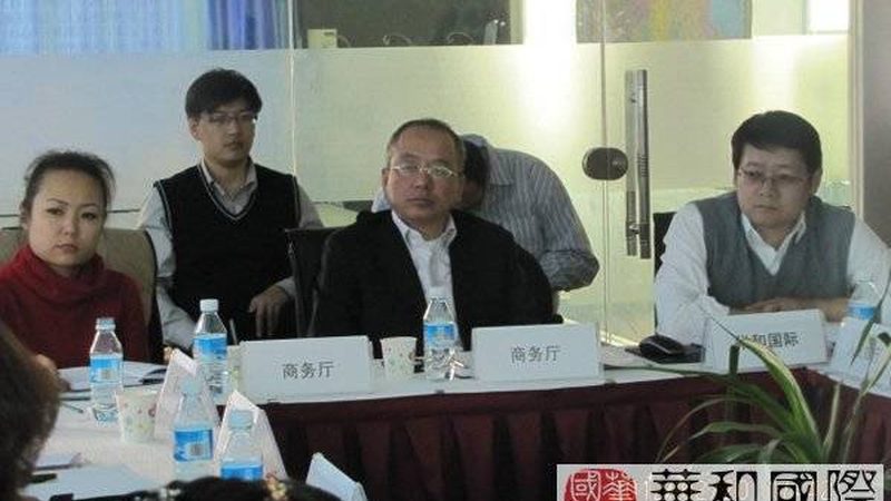 战略咨询项目案例库：揭秘企业战略解码的奥秘