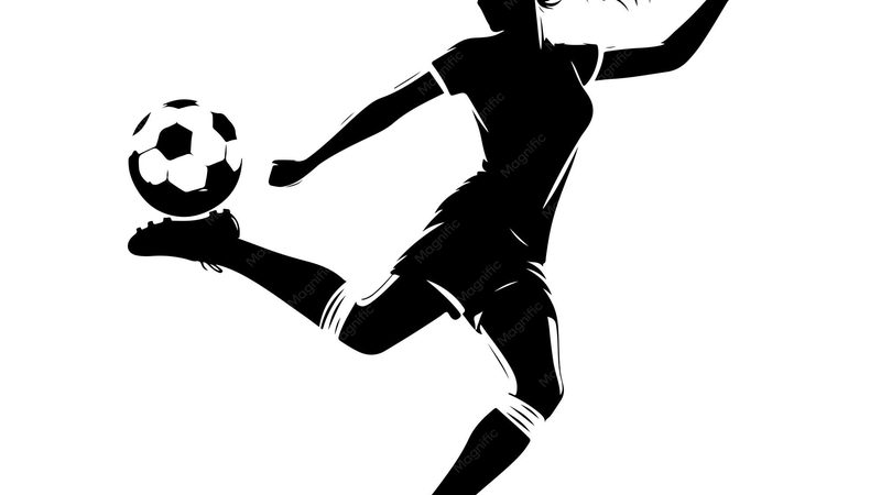 小额投资合伙股权分配：案例分析及关键要点**
